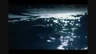 دانلود قسمت هجدهم 18 سریال مروارید سیاه با دوبله فارسی کامل