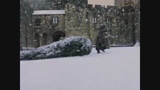 درخت  کریسمس