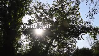 Spirited Away (2018) Live-Action Remake Official Trailer 1