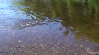 چه وقت از شبانه روز برای ماهیگیری با قلاب مناسب است؟