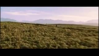 live-action movie of Princess Mononoke