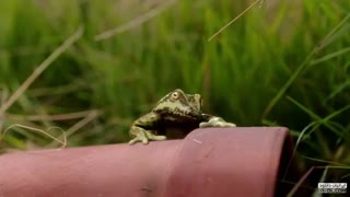 سریال The Worst Witch دوبله فارسی - فصل اول / قسمت 5