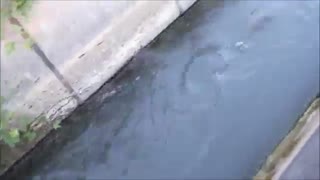 فیلم اعلی درجه ماهیگیری قزل الا در کانال سد