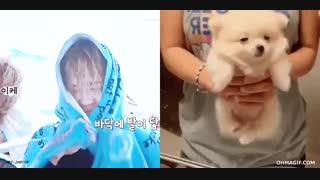 اصلا هیچ فرقی باهم ندارن ؟؟؟؟؟(جیمین از بی تی اس )