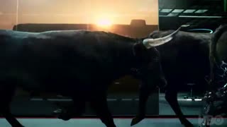 تریلر فصل دوم سریال بسیار زیبای Westworld