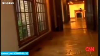 کلیپ ظهور اشباح در محیط