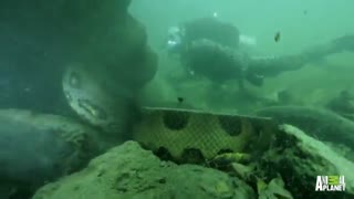 چشم تو چشم با آناکوندای 6 متری