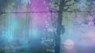 Last Leaf Down - In These Waters