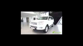 عظیم خودرو ساوانا