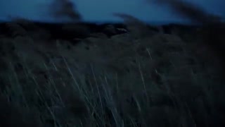 2/ تیزرهای تبلیغاتی سامسونگ برای گوشی گلکسی اس 9