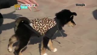 infinite-- birth of a family ep4-p1       با زیرنویس آنلاین