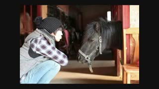 امروز از مدرسه اخراج شدم خخخخ