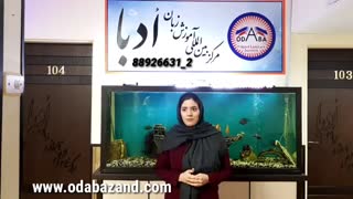نظر دانشجوی آموزش زبان آلمانی موسسه زبان ادبا