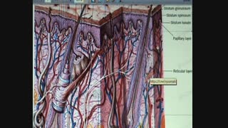 بخش ۱ .درمان اسکار اکنه با روش  #ماکرودرم   ابراژن .دکتر #مقیمی.