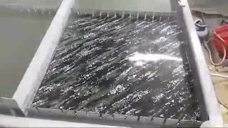 فروش دستگاه هیدروگرافیک/آبکاری/مخمل پاش09362022208