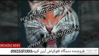 مخمل پاش-دستگاه مخمل پاش/مخمل/فانتاکروم09125371393