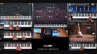 Joël Fajerman - Flowers Love (1982) - Cover Pedram Raji