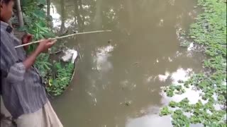 فیلم ماهیگیری کودکان و با بهترین طعمه ماهیگیری کپور