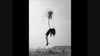 پشت دیوار همین کوچــه به دارم بزنید - نجمه زارع