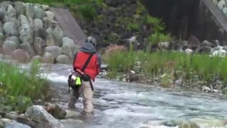 آموزش صید ماهی قزل آلا از مبتدی تا حرفه ای  full hd