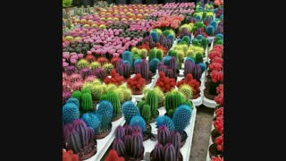 فروش دستگاه مخمل پاش/هیدروگرافیک/ابکاری/فانتاکروم 09362022208