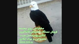 فروش دستگاه مخمل پاش/چسب مخمل /پودر مخمل 09362022208