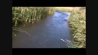 فیلم آموزش صید ماهی قزل آلا با لنسر در رودخانه ابا تمام فنون  ماهیگیری با قلاب و بسیار دیدنی