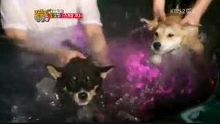 infinite-- birth of a family ep7-p2       با زیرنویس آنلاین