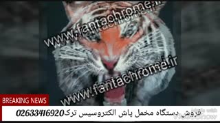 مخملپاش/دستگاه مخمل پاش/پودرمخمل09125371393