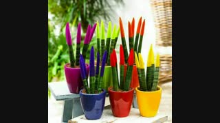 فروش دستگاه مخمل پاش/هیدروگرافیک/آبکاری/فانتاکروم 09362022208