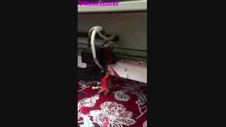 دستگاه لیزر پارچه مجهز به اسکنر