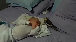 دوستی پرندگان با کودکان