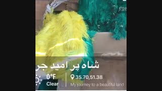 شستشوی شاه پر علامت