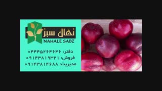 خرید انواع نهال شلیل