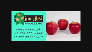 خرید انواع نهال سیب