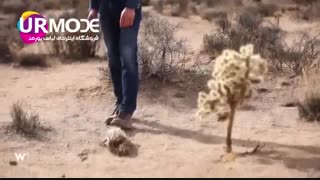 سایت  خرید لباس مجلسی ,  خرید از سایتهای ترک