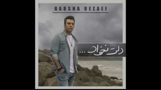 آهنگ جدید و زیبای گرشا رضایی به نام دلت نخواد