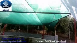 توری سایبان استخر ماهی - محصولی از شرکت تورینه بافت