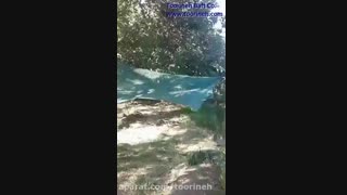 توری جمع آوری محصول (توت) -محصولی از شرکت "تورینه بافت"