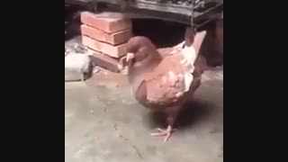 این چرا این شکلیه؟