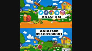 تاتامی طرحدار