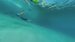 رکورد طولانی ترین مسافت شنا بدون نفس گرفتن