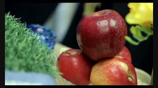 هر روزتان نوروز، نوروزتان پیروز