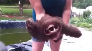 اینم اون سگی که داره میاد