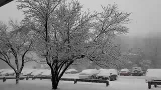 برف در روز اول بهار در واشینگتن دیسی