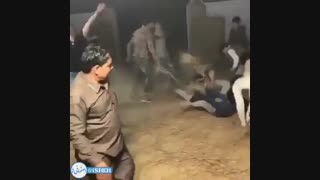 پارتی طویله خخخخ