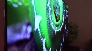 بهترین تلویزیون های دنیا : ال جی منحنی 65 اینچ | ممتازکالا