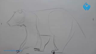 طراحی از حیوانات