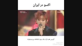 اکسو در ایران