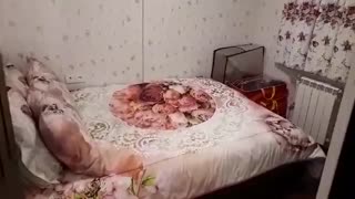 اجاره روزانه سوییت 40 متری لوکس در رشت(۰۹۱۱۲۴۸۳۱۴۰)